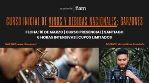 Curso Intensivo 6 hrs – Curso Inicial Vinos y Bebidas Nacionales – Martes 10 marzo